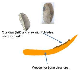 Neolithic sickle with fitted microliths